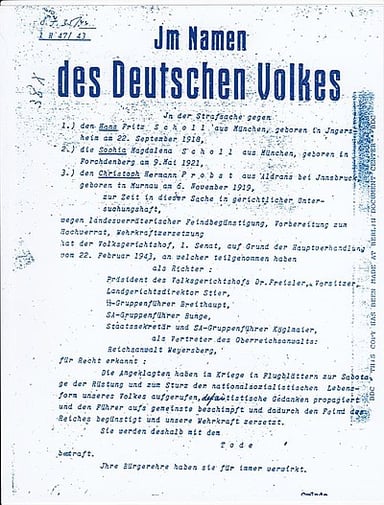 In which year did Allied planes drop the White Rose's final leaflet over Germany?