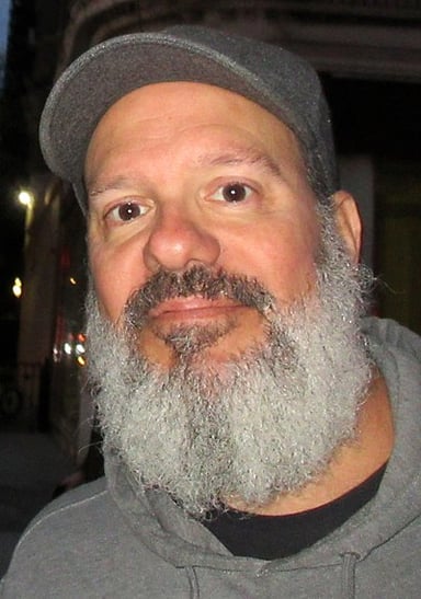 David Cross did voice work for which sitcom from 2003 to 2004?