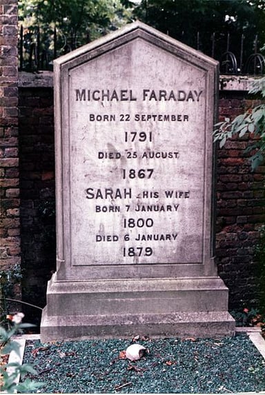 I'm curious about Michael Faraday's most well-known professions. Could you tell me what they are? [br](Select 2 answers)