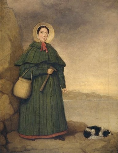 What type of fossils did Mary Anning primarily find?