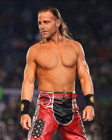 In which year did Shawn Michaels win his first Intercontinental Championship?
