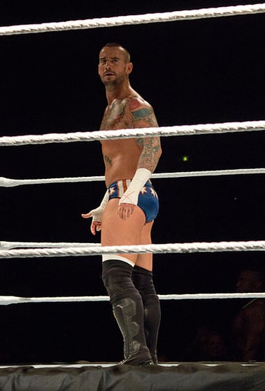 What is CM Punk's given name at birth?