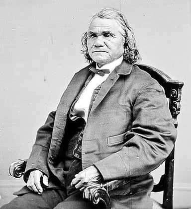 What did Stand Watie lead the Southern Cherokee delegation to Washington, D.C. for after the Civil War?
