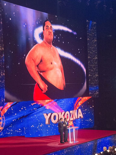 What year did Yokozuna debut in WWF?