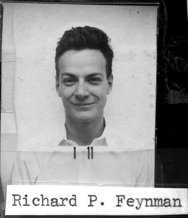 What are Richard Feynman's most famous occupations?