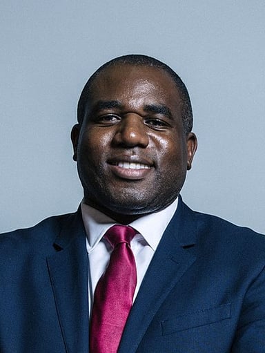 When did David Lammy become the MP for Tottenham?