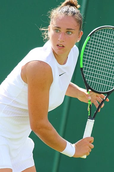 In which year did Sara Sorribes Tormo make her WTA Tour main-draw debut?