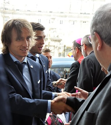 Which of the following fields of work was Luka Modrić active in?