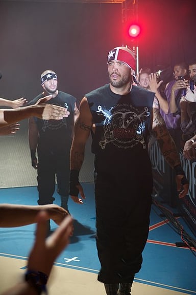 Which championship did the Briscoe Brothers win in New Japan Pro-Wrestling (NJPW)?