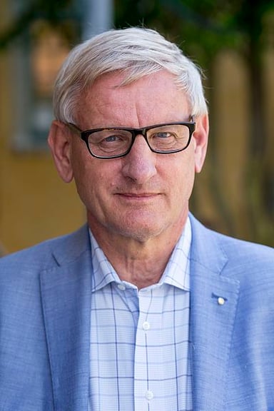 What peace event did Carl Bildt help mediate in 1995?
