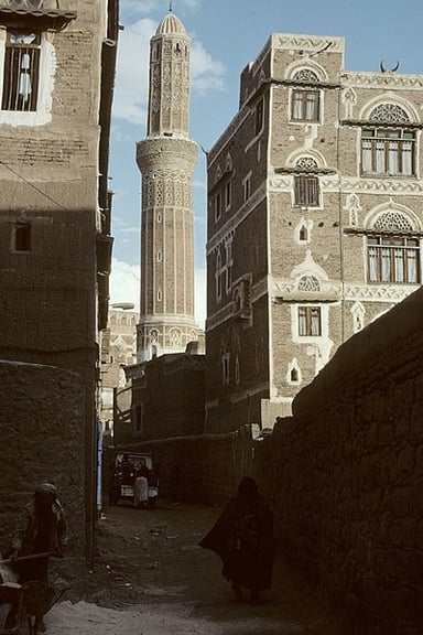 What is the official language of Sanaa?