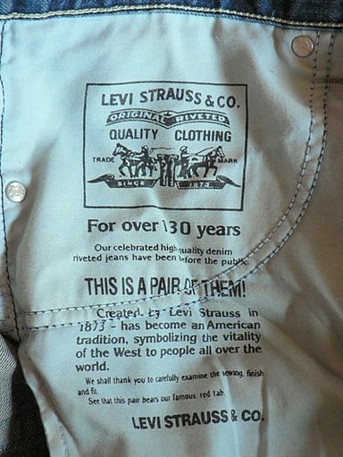 What type of business did Levi Strauss's brothers have in New York?