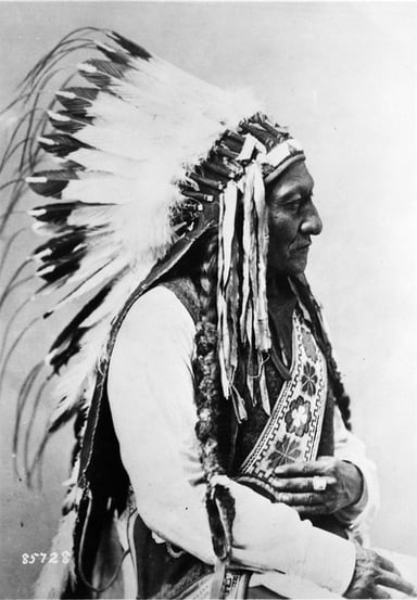 What was Sitting Bull's role in the resistance?