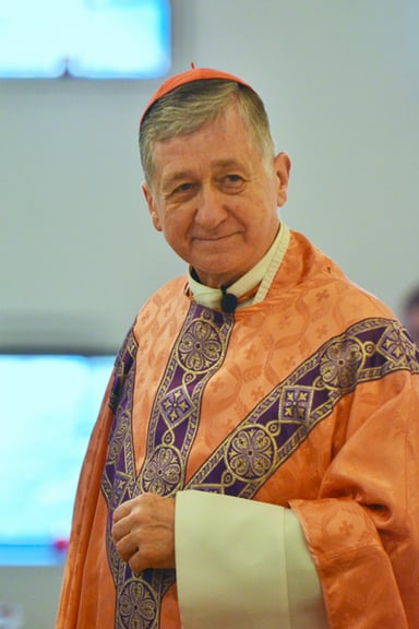 Cupich was chosen by which Pope to lead Chicago?
