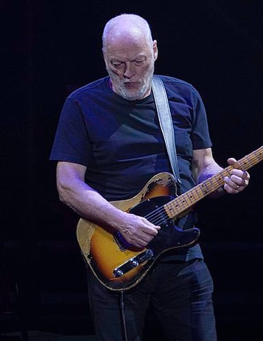 Which of the following is included in David Gilmour's list of properties?[br](Select 2 answers)