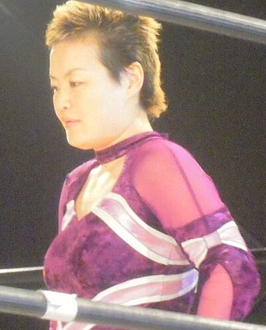 How many times has Emi Sakura been International Ribbon Tag Team Champion?