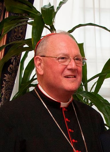 When was Timothy M. Dolan elevated to the rank of cardinal?