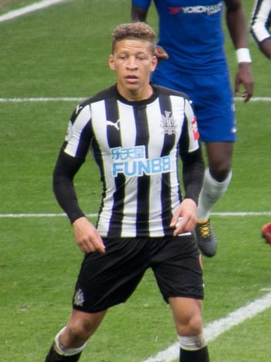 Which club did Dwight Gayle establish himself in the Premier League with?