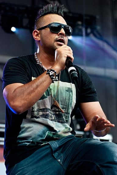 Which Sia song features Sean Paul?