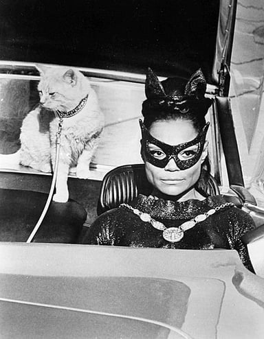Who called Eartha Kitt the "most exciting woman in the world"?