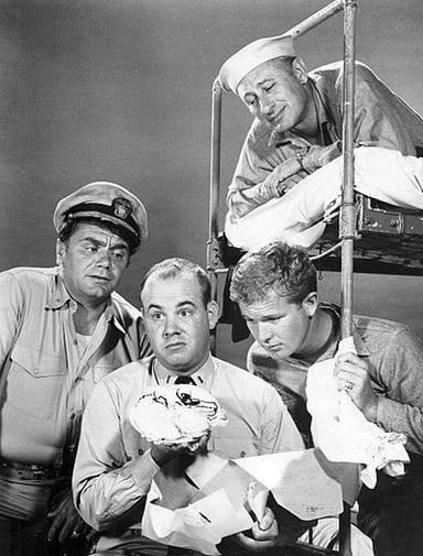 What was Borgnine's role in the sitcom McHale's Navy?