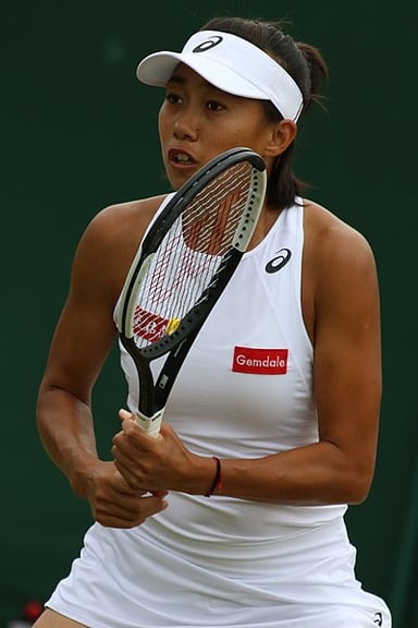 How many WTA Tour singles titles has Zhang won?
