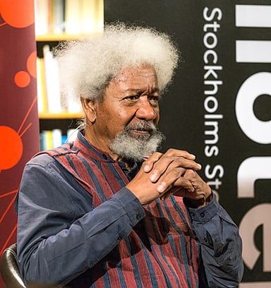 Which of the following fields of work was Wole Soyinka active in?
