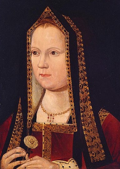 In addition to [url class="tippy_vc" href="#2157150"]Queen Consort[/url], what other title does Elizabeth Of York hold?