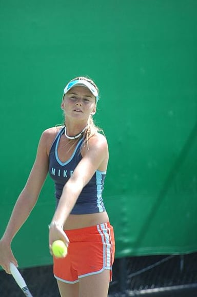 Who was Hantuchová's partner in her 2002 Australian Open mixed doubles win?