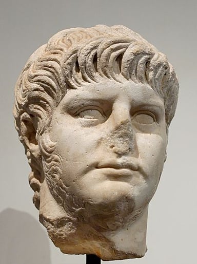 Which occupation did Nero take up that scandalized his aristocratic contemporaries?
