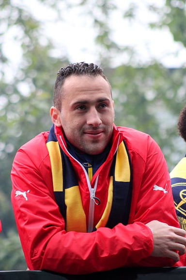 What position does David Ospina play?