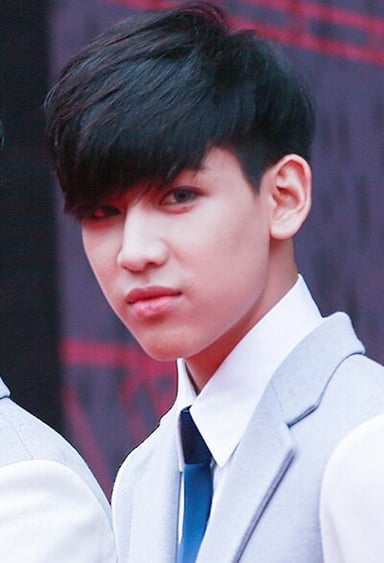 Which TV show did BamBam appear in before his debut?