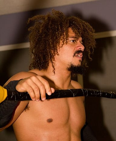 At WrestleMania 25, which championships did Carlito and his brother Primo unify?