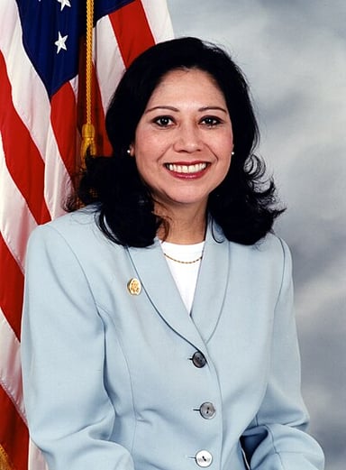 At which federal agencies did Hilda Solis work before going back to her native state?
