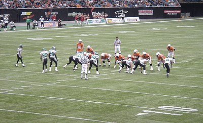 Who holds the BC Lions' record for most passing yards in a single season?
