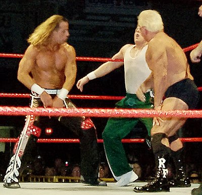 Which wrestler did Ric Flair face in his retirement match at WrestleMania XXIV?