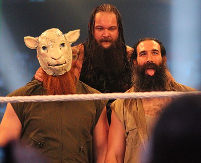 What is Bray Wyatt's real name?