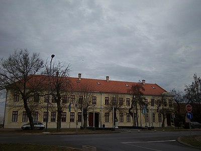 Which county is Vukovar the seat of?