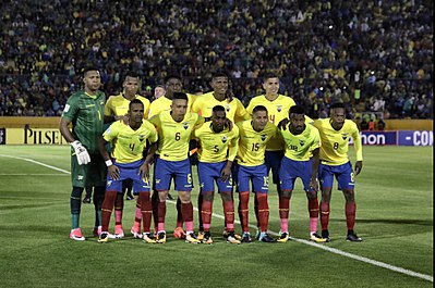What was Ecuador's best performance in the Copa América?