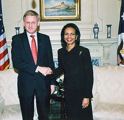 What significant event did Carl Bildt co-chair in November 1995?