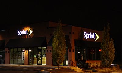 What type of network did Sprint operate alongside CDMA and EvDO?