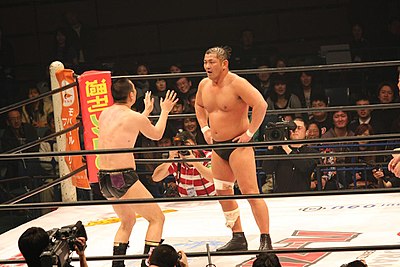 What wrestling genre is Suzuki associated with?