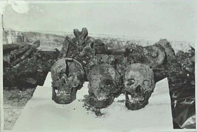 Foriș's remains were reburied in which necropolis?