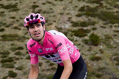 In what discipline is Dumoulin considered an expert?