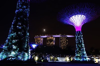 When was Marina Bay Sands officially opened?