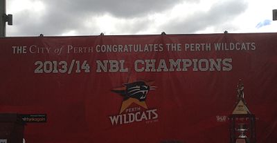 What is the name of the stadium where Perth Wildcats plays?