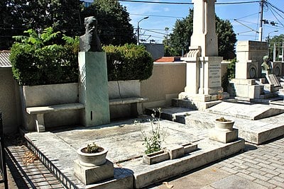 What caused Nikola Pašić's death?