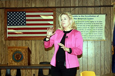 Which international organization did Liz Cheney have a focus on during her tenure in the State Department?