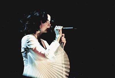 Could you select Björk's most well-known occupations? [br](Select 2 answers)
