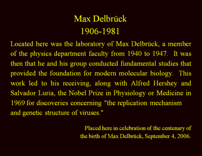 What was a key topic of interest for Delbrück in biology?